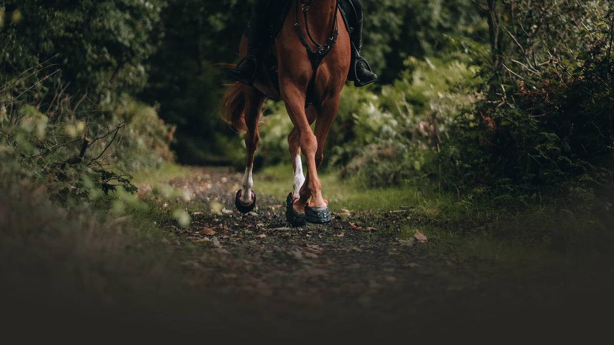 The world's first self-adjusting hoof boots