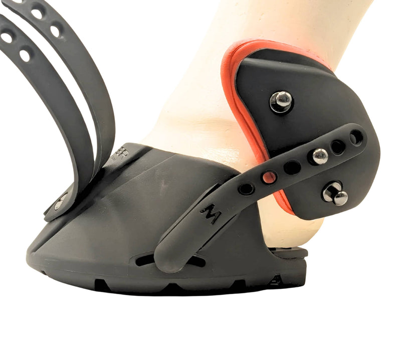 Attach the anchor straps